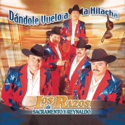 Los Razos - Mi Gordis
