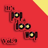 It's Pop & Doo Wop, Vol. 9 artwork