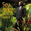 Seu Jorge - Mina do Condomínio