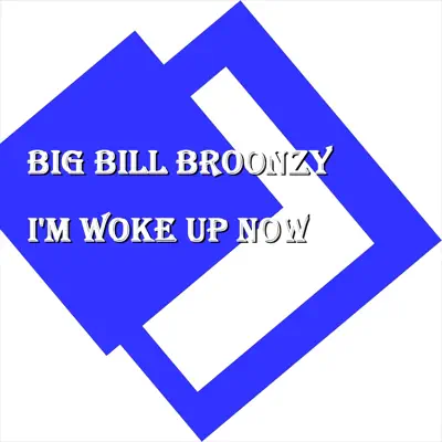 I'm Woke Up Now - Big Bill Broonzy