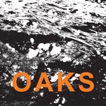 Oaks - Feathers