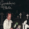 Guadalupe Plata - EP artwork