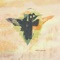 Gronlandic Edit - of Montreal lyrics