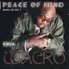 Stream & download Peace of Mind (feat. Mike Murphy, Landy & Apx)