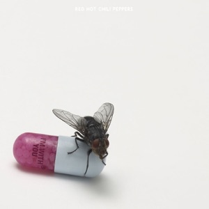 Red Hot Chili Peppers The Adventures of Rain Dance Maggie