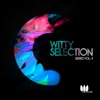 Witty Selection Series, Vol. 4