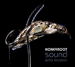 Honeyroot - Love Will Tear Us Apart