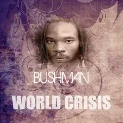 World Crisis - Single by Bushman album reviews, ratings, credits