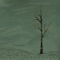 Down In the Valley - May Erlewine lyrics