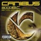 Chaos - Canibus lyrics