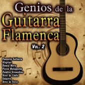 Genios de la Guitarra Flamenca, Vol. 2 artwork