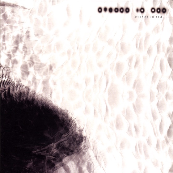 Cover artwork for intrasection