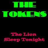 The Lion Sleeps Tonight (Wimoweh) artwork