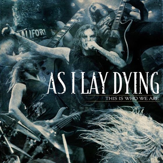 Cover artwork for Within Destruction