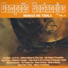 Campeãs Sertanejas: Modas de Viola Vol.2, 2008