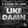 Like Damn (feat. Gemeni) - EP album lyrics, reviews, download