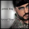 If You Didn't (Steppers Mix) - James Day lyrics