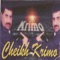 D'bayli ana / Mabkate (Medley) - Cheikh krimo lyrics