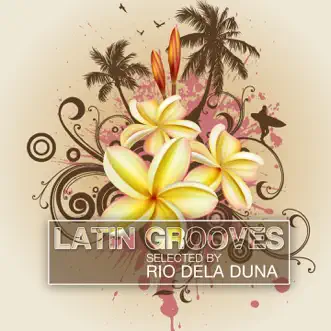 Latin Grooves, Vol. 2 (Selected by Rio Dela Duna) by Various Artists album reviews, ratings, credits