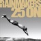 Go Down Swinging - The Rainmakers lyrics
