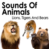 Sounds of Animals: Lions, Tigers and Bears - Pro Sound Effects Library