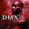 Ruff Ryders Anthem - DMX lyrics