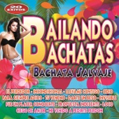 Darte un Beso (Bachata Version) artwork