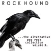 Rock Hound: Alternative Pop Rock, Vol. 10