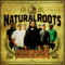 Lion Dub - Natural Roots lyrics