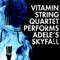 Vitamin String Quartet Performs Adele's Skyfall - Vitamin String Quartet lyrics