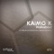 Walkabout (Miroslav Vrlik Remix) - Kaimo K lyrics