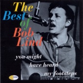 You Might Have Heard My Footsteps - The Best of Bob Lind