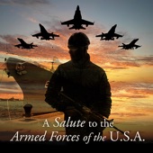 A Salute to the Armed Forces of the U.S.A. artwork