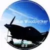 Blue Woodpecker - EP album lyrics, reviews, download