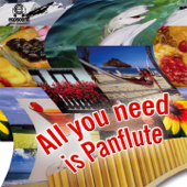 All You Need Is Panflute (Ecosound musica indiana andina) - Ecosound