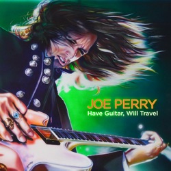 Joe Perry - We've Got a Long Way to Go