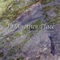The Soul Catcher - Ronda lyrics