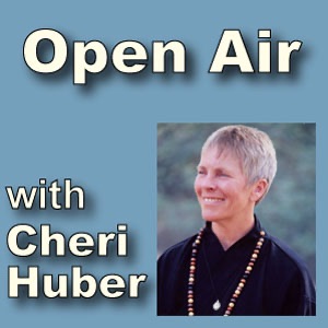 Open Air with Cheri Huber cover