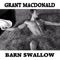 Barn Swallow - Grant MacDonald lyrics