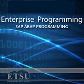Enterprise Programming - SAP ABAP Programming 2014 cover