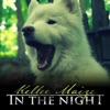 In the Night - Single
