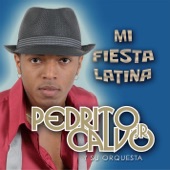 Mi Fiesta Latina artwork