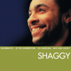 Boombastic (Sting Remix) - Shaggy