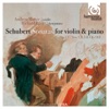 Andrew Manze, Christopher Hogwood & Academy of Ancient Music - Violin Sonata in A Major, D.574 , Op.162: I. Allegro moderato