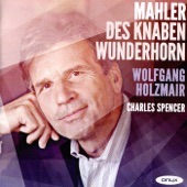 Lieder aus 'Des Knaben Wunderhorn': Trost im Unglück artwork