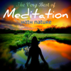 The Very Best of Meditation with Nature - Brogue