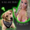 Do Dogs Have Brains? (feat. Trisha Paytas) - The Parody Factory lyrics