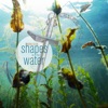 Shapes on the Water (EP)