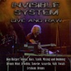 Invisible System - Naturalisation (Live in the Midlands)