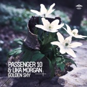 Golden Sky (Remixes) - EP artwork